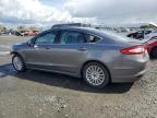 2013 Ford Fusion Titanium Phev na sprzedaż w Eugene, OR - Front End