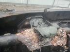 2014 Ford F150 Supercrew de vânzare în Lebanon, TN - Burn