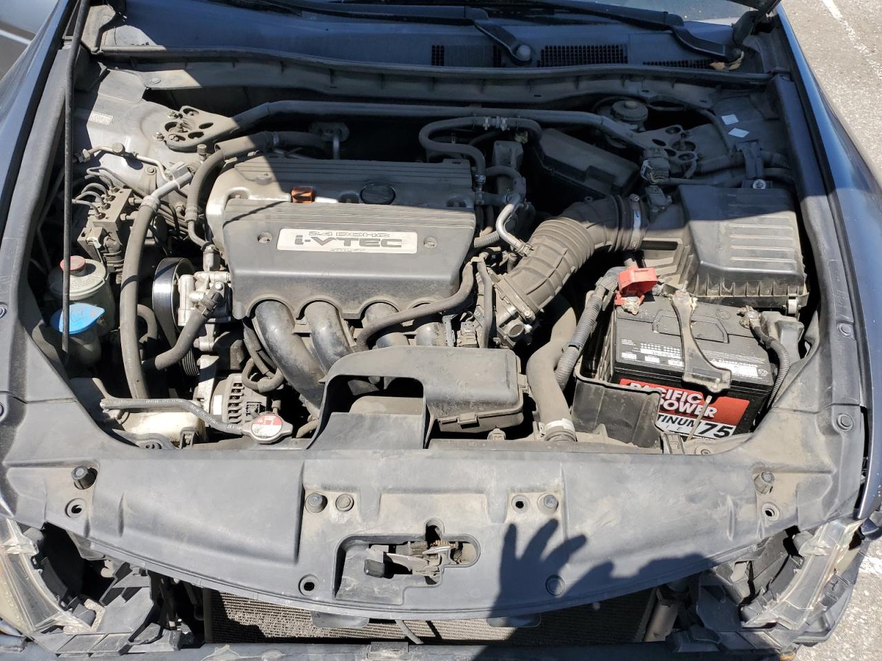 2008 Honda Accord Exl VIN: JHMCP26808C067790 Lot: 52805065