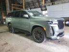 2024 CADILLAC ESCALADE V  for sale at Copart NY - ALBANY