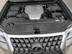 2023 Lexus Gx 460 იყიდება Wilmer-ში, TX - Side