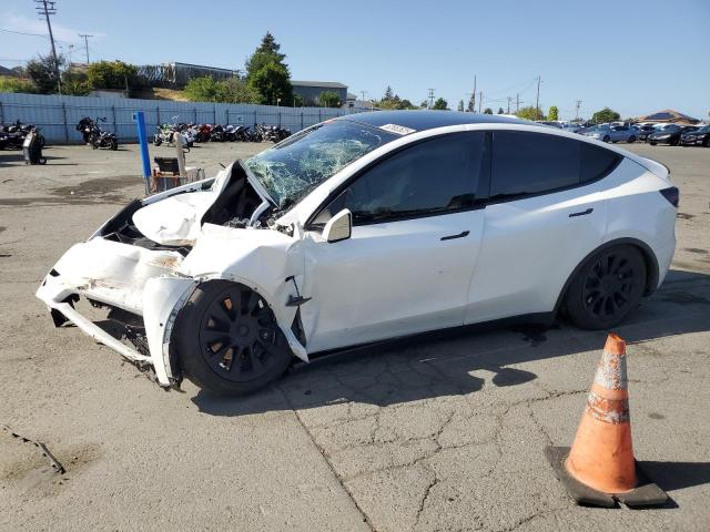 TESLA MODEL Y 2021
