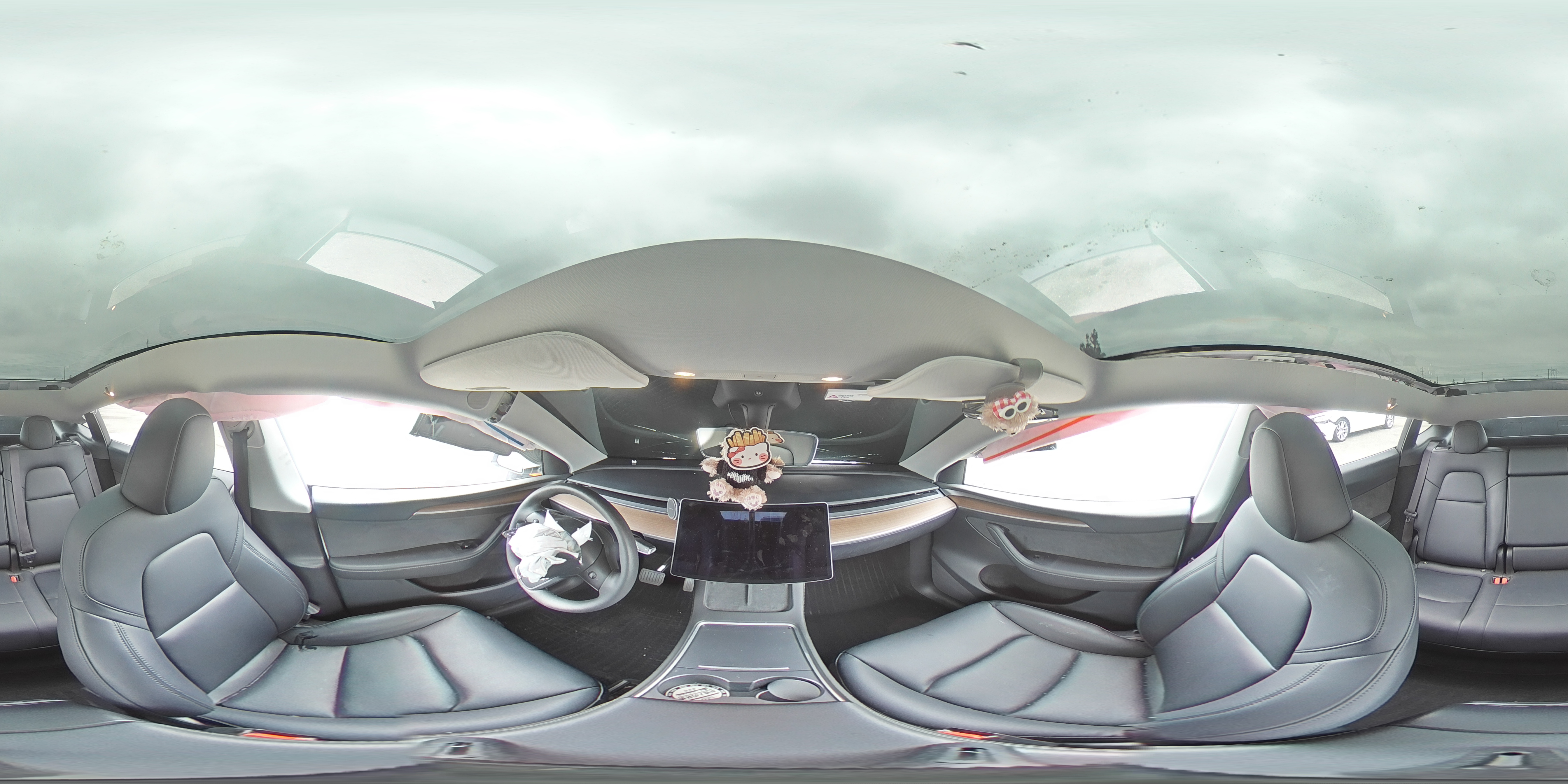 2024 Tesla Model Y VIN: 7SAYGDEE1RF191665 Lot: 53955025