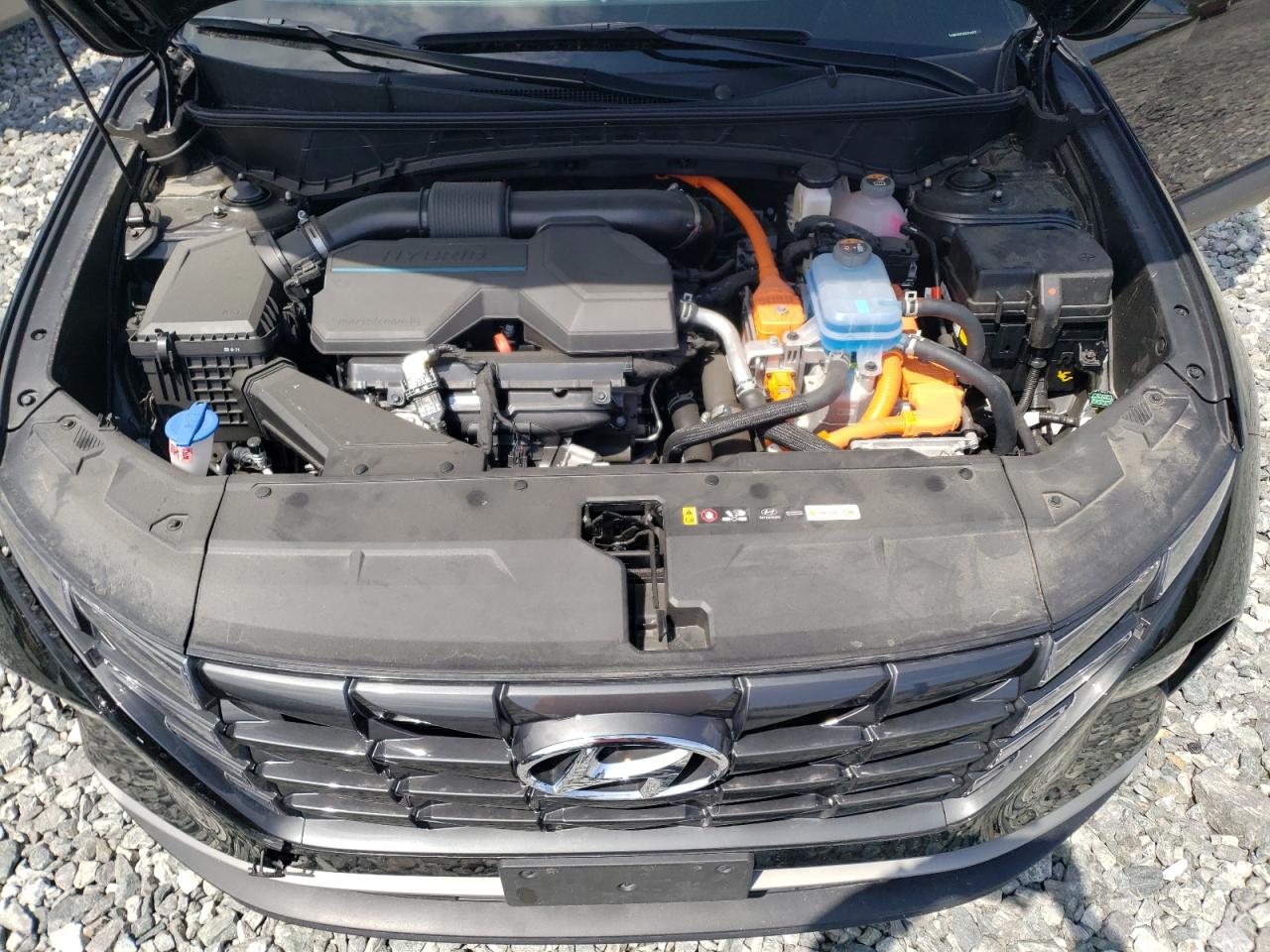 2024 Hyundai Tucson Sel VIN: KM8JBDD20RU218037 Lot: 54162505