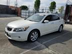 2009 Honda Accord Exl en Venta en Wilmington, CA - Minor Dent/Scratches