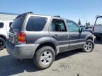 2005 Ford Escape Xlt продається в Rancho Cucamonga, CA - Normal Wear