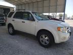2011 Ford Escape Xlt zu verkaufen in Rogersville, MO - Rear End