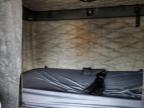 2016 Freightliner Cascadia 125 Semi Truck продається в Elgin, IL - Minor Dent/Scratches