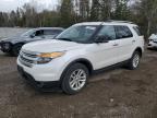 2013 FORD EXPLORER XLT à vendre chez Copart ON - COOKSTOWN