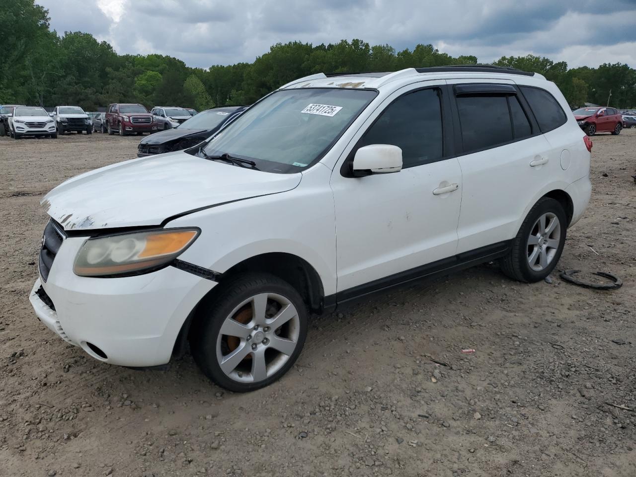2007 Hyundai Santa Fe Se იყიდება Conway-ში, AR - Front End