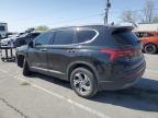 2023 Hyundai Santa Fe Sel na sprzedaż w Anthony, TX - Side