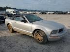 2006 Ford Mustang  იყიდება Madisonville-ში, TN - Top/Roof
