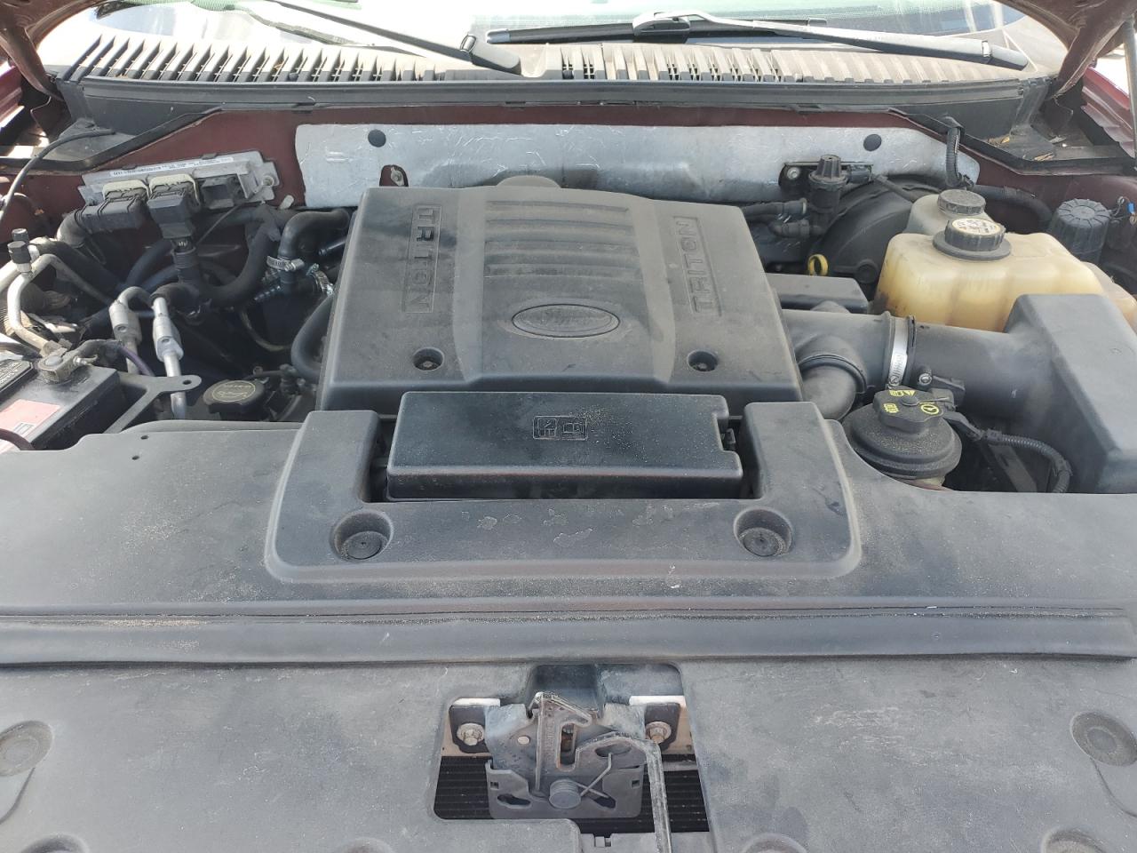 2007 Ford Expedition Eddie Bauer VIN: 1FMFU17587LA36433 Lot: 51516465