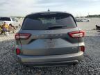2023 Ford Escape St Line for Sale in Arcadia, FL - Side