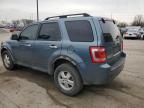 2012 Ford Escape Xlt zu verkaufen in Fort Wayne, IN - Front End