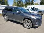 2019 Toyota Rav4 Xle Premium იყიდება Arlington-ში, WA - Rear End