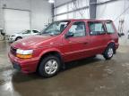 1994 Dodge Caravan  for Sale in Ham Lake, MN - Rear End