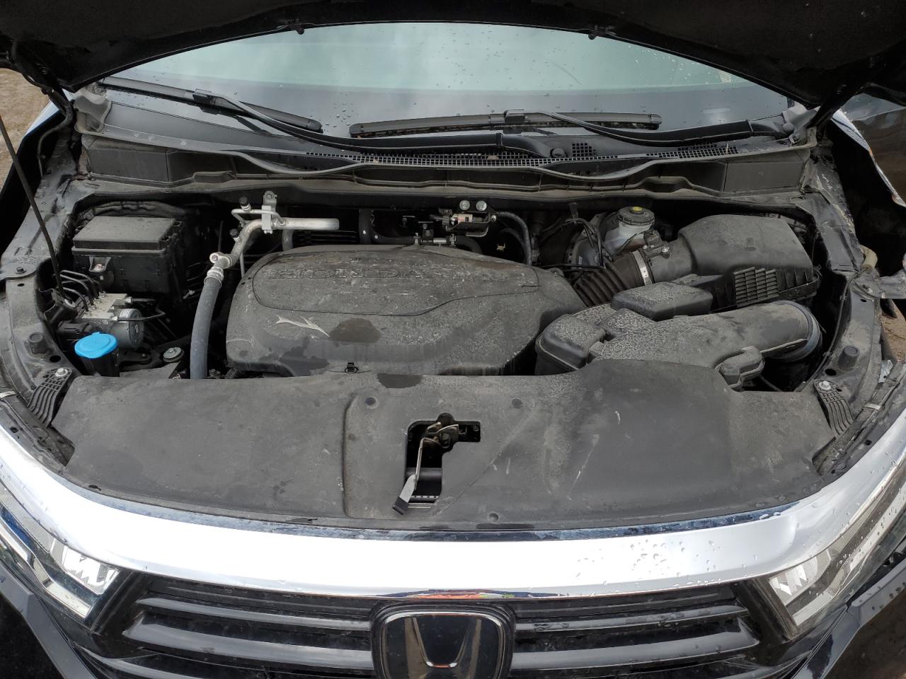 5fnrl6h69rb501705 5FNRL6H69RB501705 2024 Honda Odyssey Exl