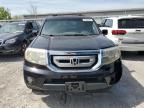 2011 Honda Pilot Ex للبيع في Walton، KY - Front End