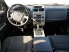 2011 Ford Escape Xlt for Sale in Bridgeton, MO - Front End