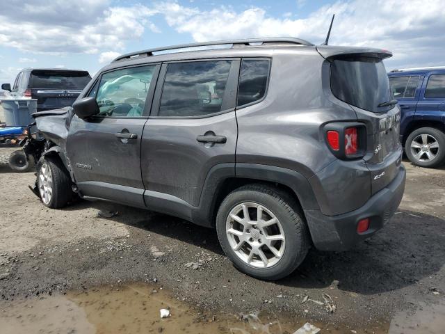  JEEP RENEGADE 2019 Серый