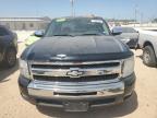 2011 Chevrolet Silverado C1500 Lt zu verkaufen in San Antonio, TX - Hail