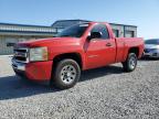 2010 Chevrolet Silverado C1500 na sprzedaż w Earlington, KY - Hail