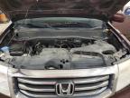 2012 Honda Pilot Exl en Venta en Ham Lake, MN - Minor Dent/Scratches