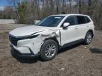 2023 HONDA CR-V EXL for sale at Copart ON - COOKSTOWN
