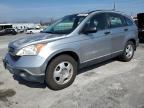 2008 Honda Cr-V Lx de vânzare în Sun Valley, CA - Minor Dent/Scratches