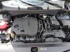 2024 Kia Sportage Ex на продаже в Arcadia, FL - Rollover