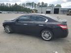 2010 Nissan Maxima S zu verkaufen in Harleyville, SC - Front End