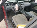 2012 Ford Mustang  for Sale in Houston, TX - Front End