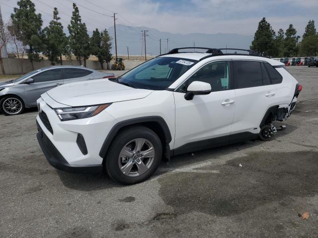 TOYOTA RAV4 XLE 2025