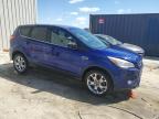 2013 Ford Escape Sel for Sale in Franklin, WI - Front End