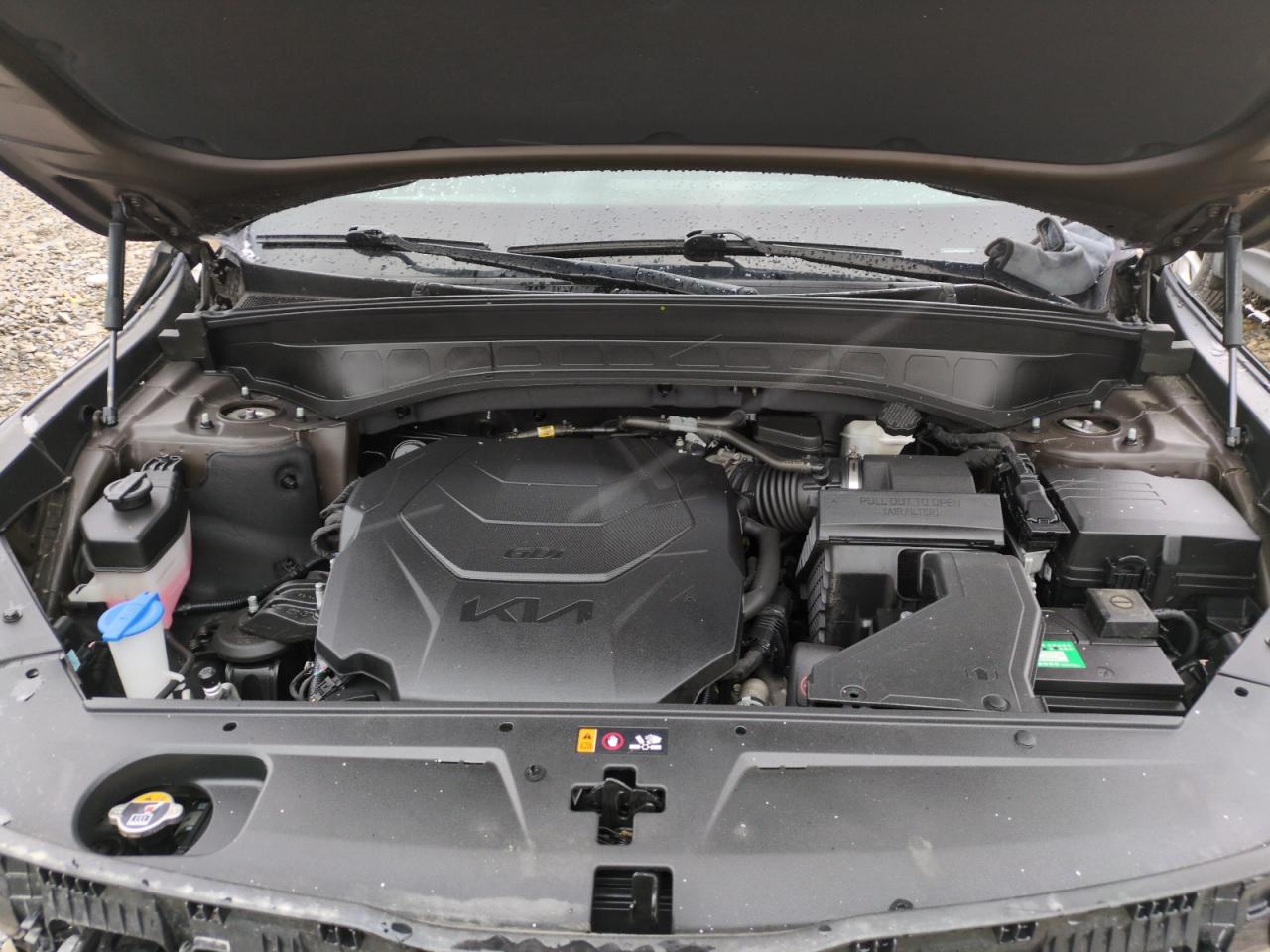 2023 Kia Telluride Sx VIN: 5XYP5DGC8PG333753 Lot: 50998465