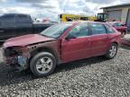 2005 Chevrolet Malibu Maxx Ls na sprzedaż w Eugene, OR - Front End