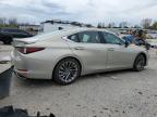 2024 Lexus Es 350 Base იყიდება Bridgeton-ში, MO - Water/Flood
