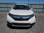 2019 HONDA CR-V LX à vendre chez Copart ON - OTTAWA