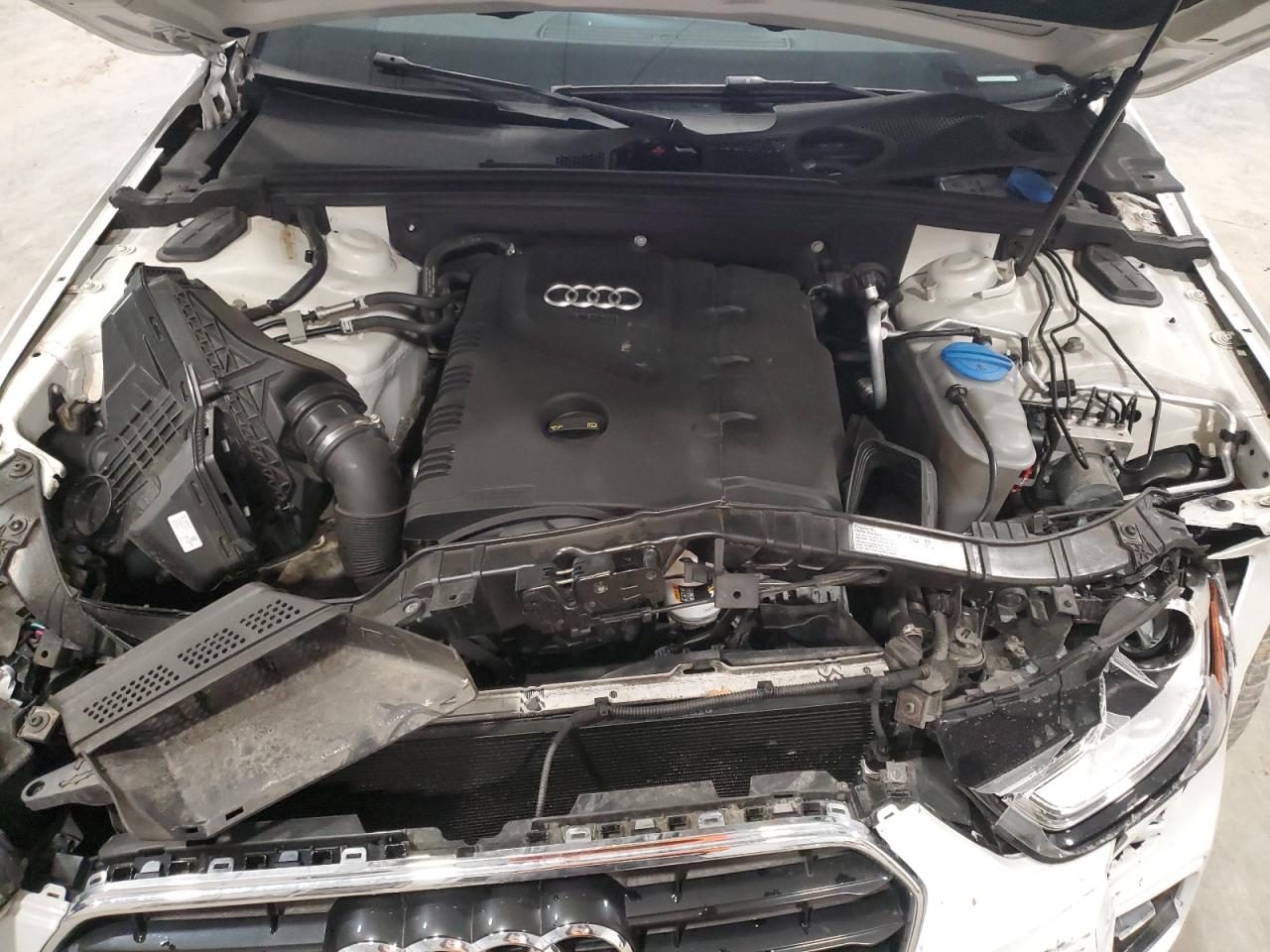 2014 Audi A4 Premium Plus VIN: WAUFFAFL1EN027943 Lot: 53360955
