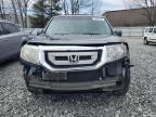 2011 Honda Pilot Exl zu verkaufen in North Billerica, MA - Front End