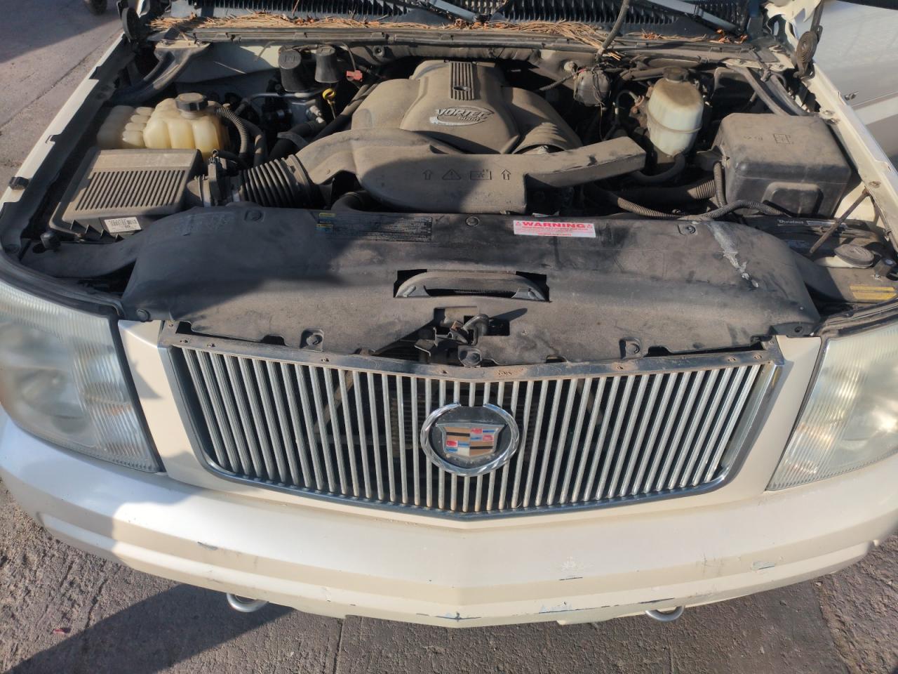 2005 Cadillac Escalade Ext VIN: 3GYEK62N05G224667 Lot: 53876085