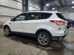 2015 Ford Escape Se for Sale in Ham Lake, MN - Rear End