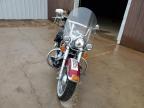 2004 Harley-Davidson Flstc  for Sale in Rapid City, SD - Rear End