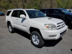 2004 Toyota 4Runner Sr5 de vânzare în Marlboro, NY - Minor Dent/Scratches
