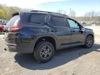 2025 Honda Pilot Trailsport na sprzedaż w Marlboro, NY - Rollover