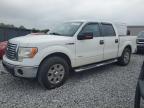 2012 Ford F150 Supercrew for Sale in Hueytown, AL - Normal Wear