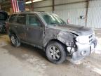 2010 Ford Escape Limited for Sale in West Mifflin, PA - Front End