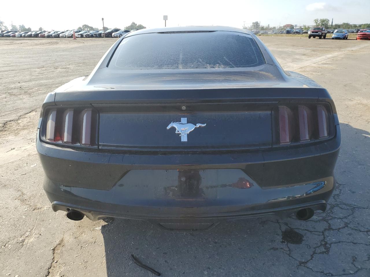 2017 Ford Mustang VIN: 1FA6P8AM8H5225437 Lot: 54445065