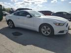2016 Ford Mustang  for Sale in Lebanon, TN - Rear End